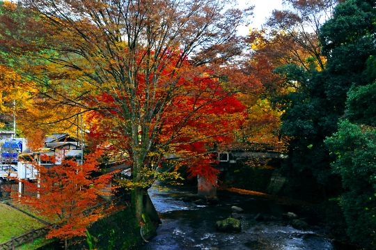 蛇姫橋・全景