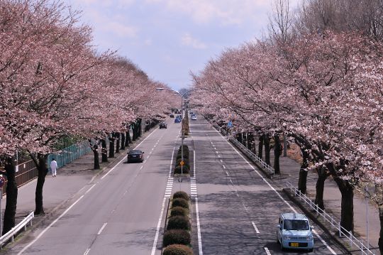 ホンダ