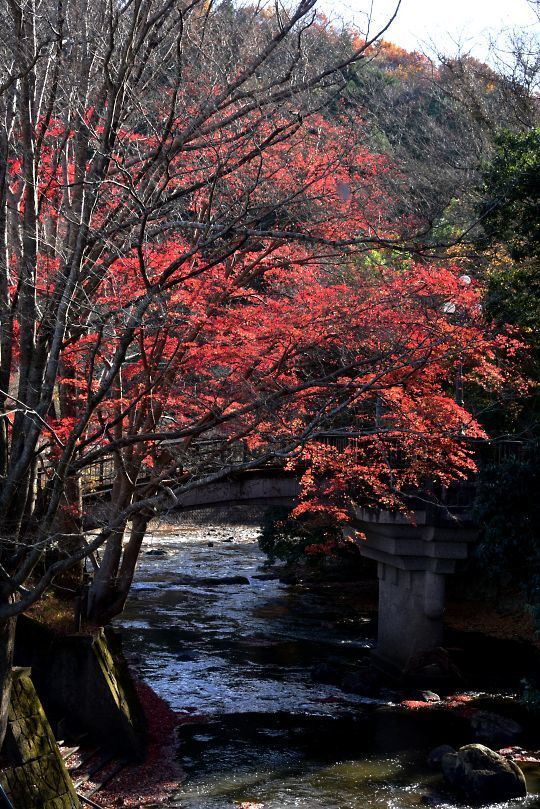 蛇姫橋
