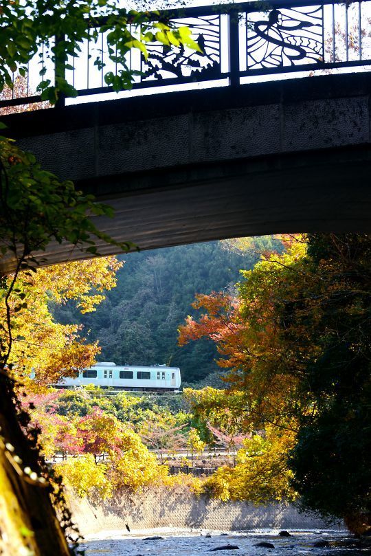 蛇姫橋