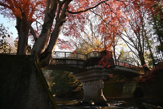 蛇姫橋の紅葉